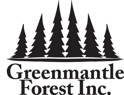 Greenmantle