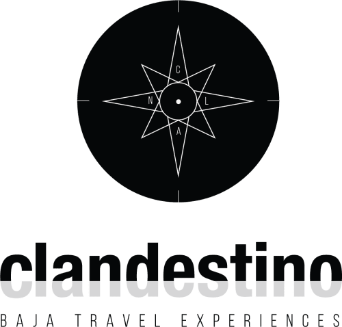 Clandestino Travel